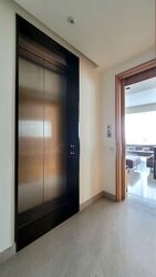 The Light @ Cairnhill (D9), Condominium #554731241